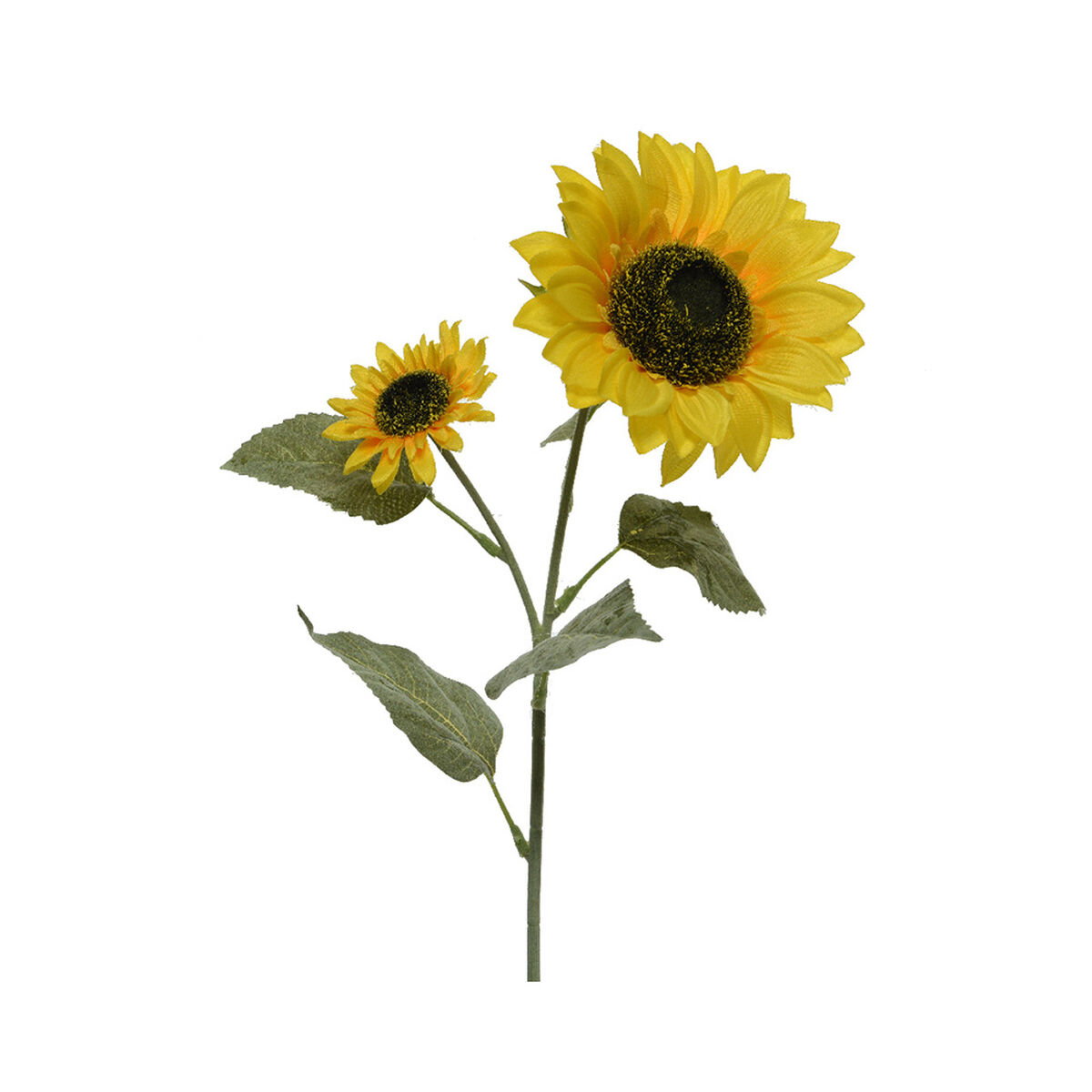 Decorative Flowers Everlands 10 x 15 x 72 cm